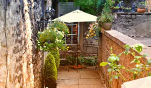 The Shocking Truth Behind My Dying Home Garden: Find Out