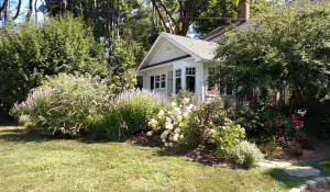 Unleash Your Green Thumb: The Ultimate Guide to a Stunning Home Garden